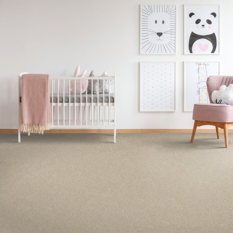 Kitchen & Floor Decor providing stain-resistant pet proof carpet in Rice Lake, WI - Sp Enchanting Glam