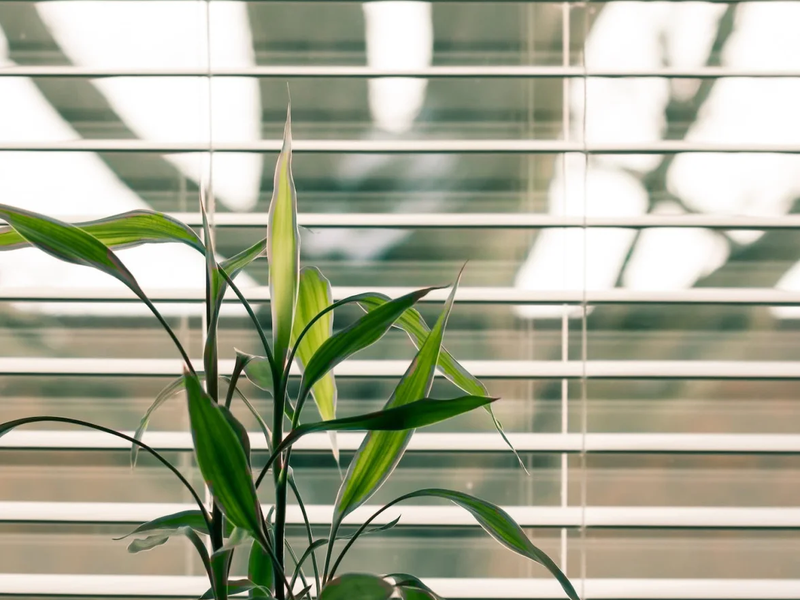 Window treatments products offered at Kitchen & Floor Decor in Rice Lake, WI